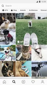 Instagram screenshot 3