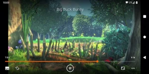 VLC for Android screenshot 1